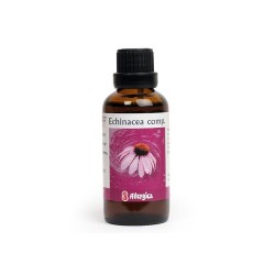 Echinacea comp. - 50 ml.